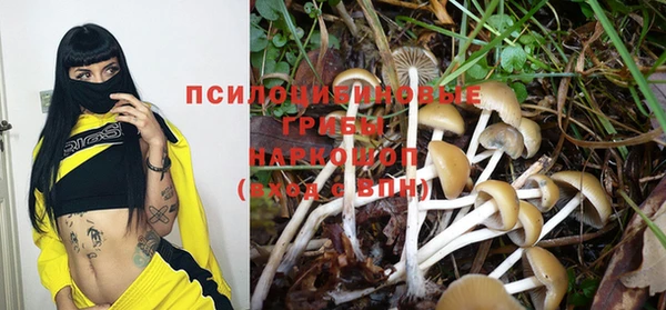 гашишное масло Аркадак