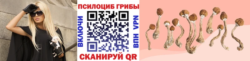 Псилоцибиновые грибы мицелий  Талдом 